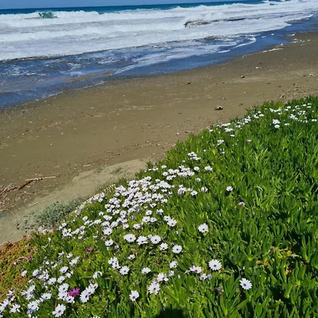 בית נופש Luxury Beachfront With A Pool אייה מרינה