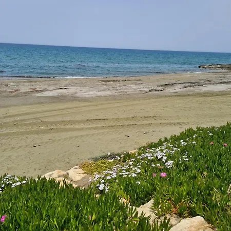 Luxury Beachfront With A Pool בית נופש אייה מרינה