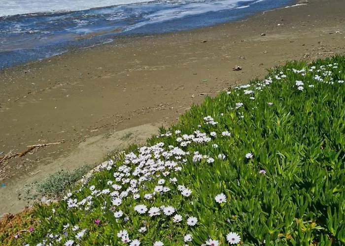 度假居 Luxury Beachfront With A Pool Agia Marina (Northern Cyprus)