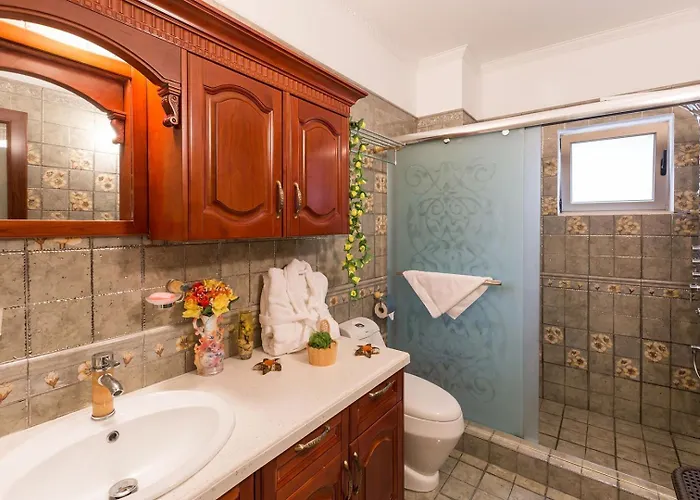 度假居 Luxury Beachfront With A Pool Agia Marina (Northern Cyprus)