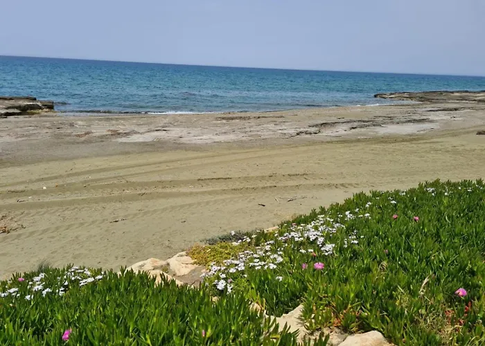 Luxury Beachfront With A Pool 別荘 Ayia Marina